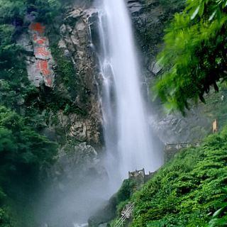 除虫大师