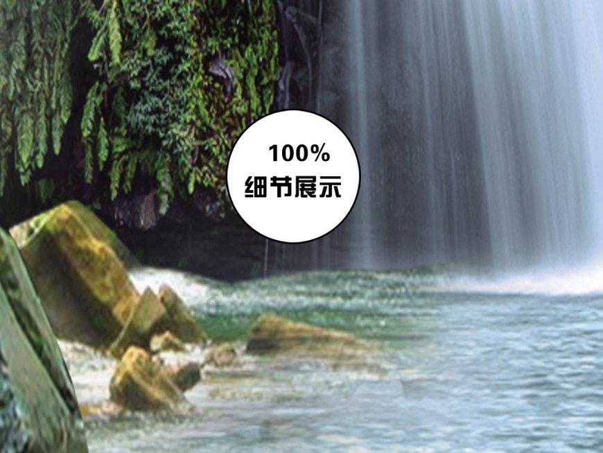 解救野生狐狸