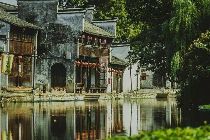 救援袋鼬